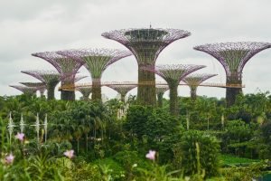 Best International Tour Packages in Tamilnadu - Singapore 4